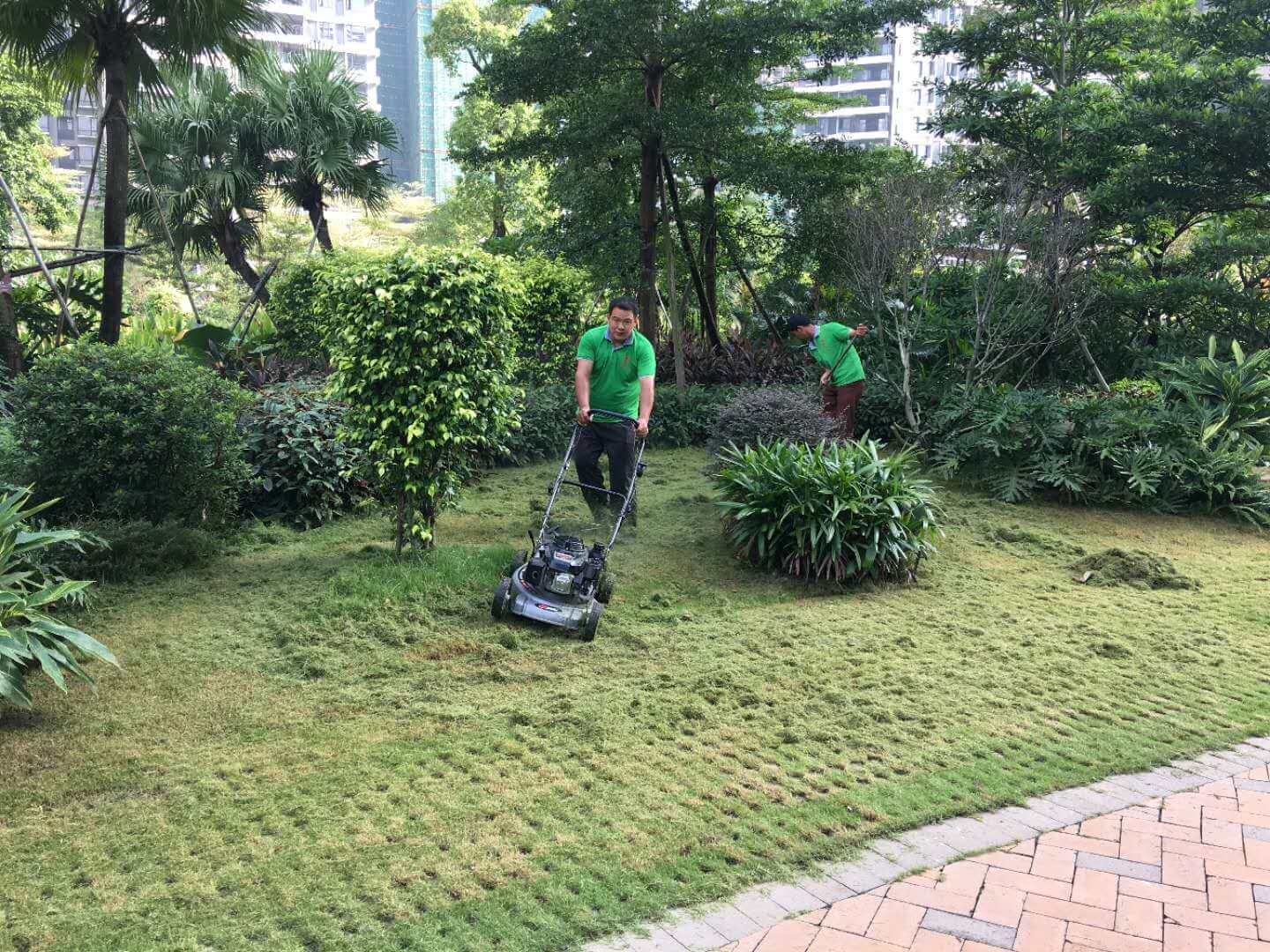 d88尊龙游戏大厅绿化公司二级养护标准