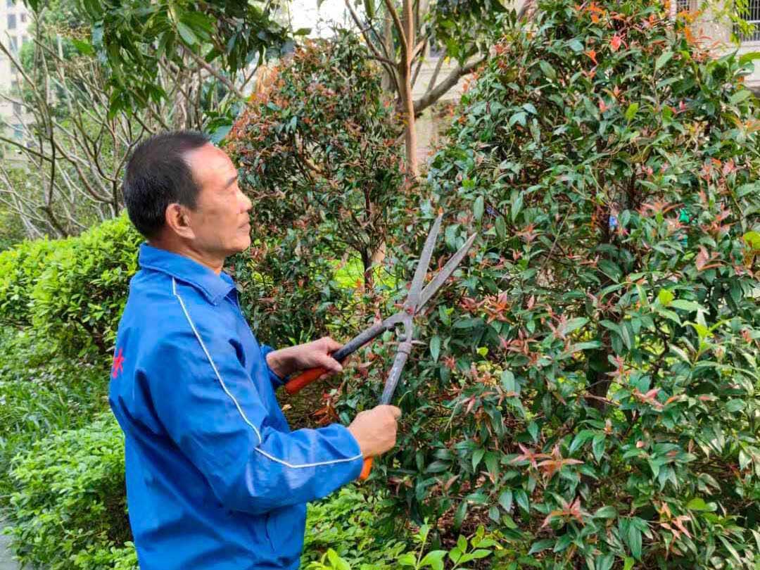 d88尊龙游戏大厅绿化公司工人正在修建
