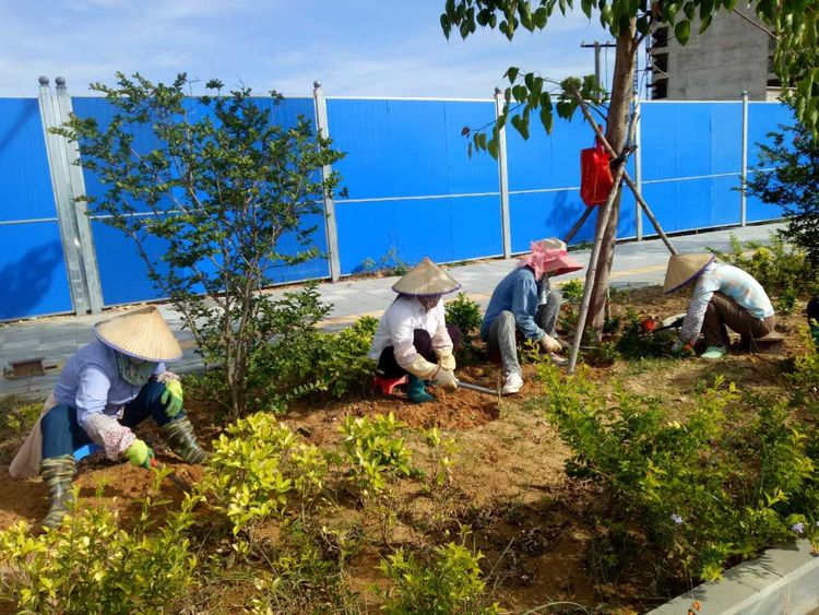 d88尊龙游戏大厅绿化公司工人正在举行莳植作业
