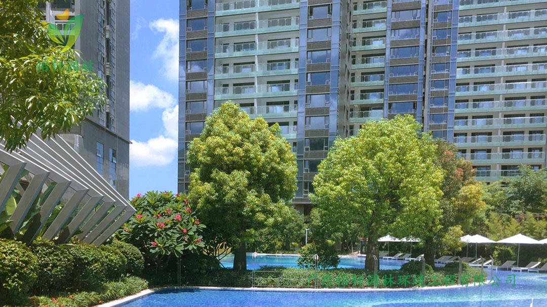 d88尊龙游戏大厅深圳博林天瑞小区绿化景观设计实景图