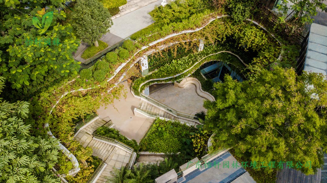 d88尊龙游戏大厅深圳博林天瑞小区绿化景观设计实景图