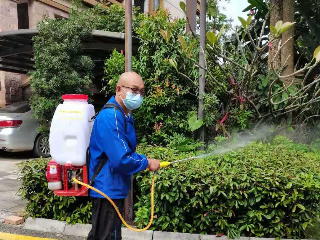 d88尊龙游戏大厅绿化公司工人做好绿化消杀事情