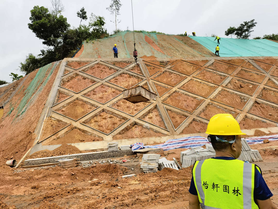 d88尊龙游戏大厅绿化公司边坡绿化工程施工流程