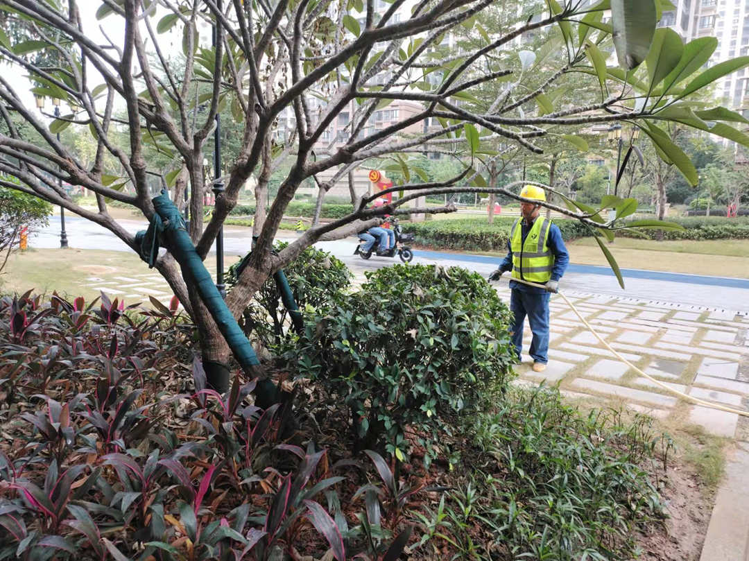 园林绿化工程施工养护职员正在浇水