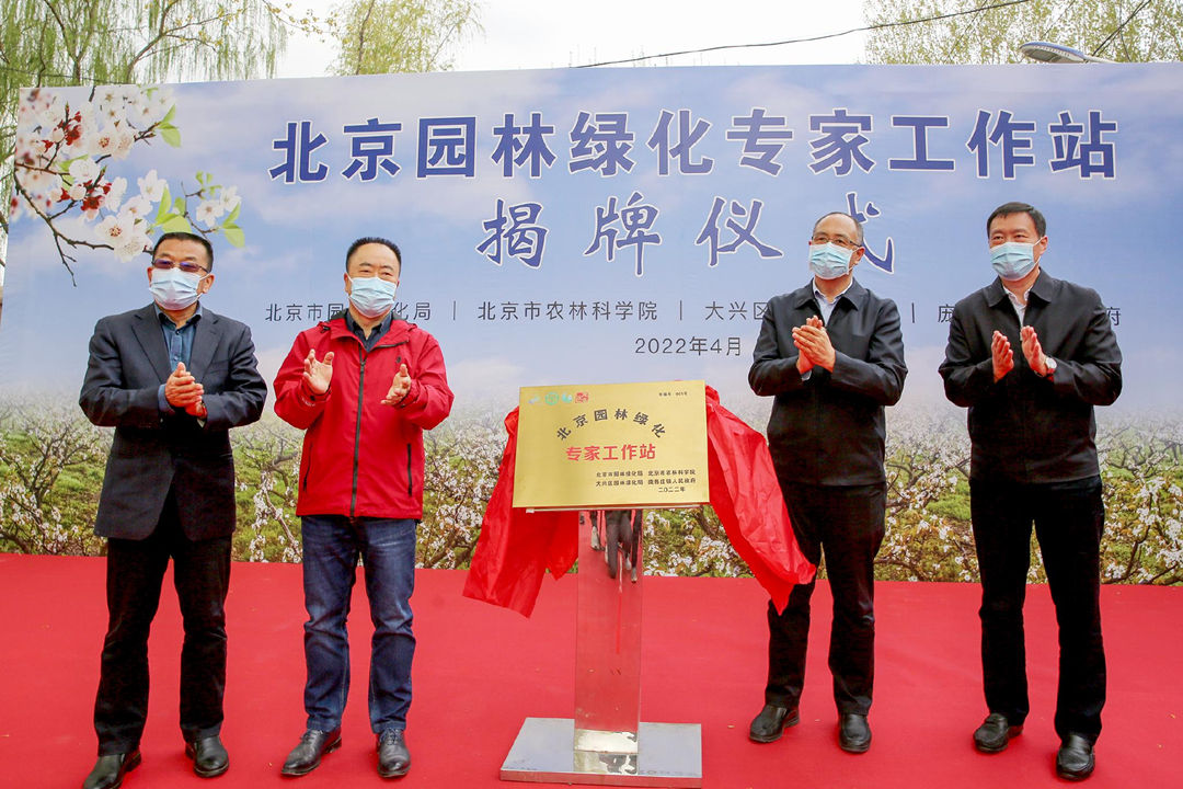 d88尊龙游戏大厅绿化公司祝贺北京园林绿化001号专家事情站正式挂牌建设！