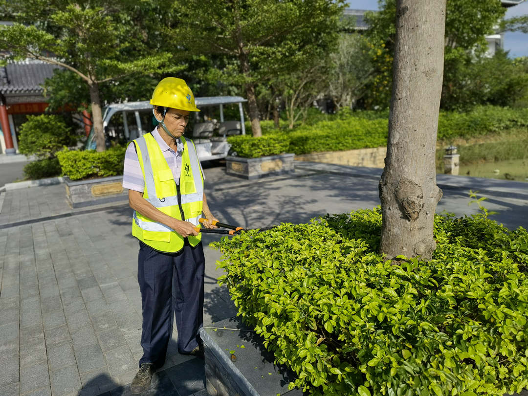 d88尊龙游戏大厅绿化公司工人在高温酷暑下作业
