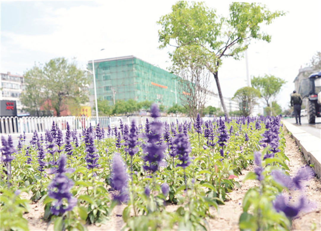 吉林省延吉市：起劲加速推进都会园林绿化提升工程，迎接延边建州70周年！