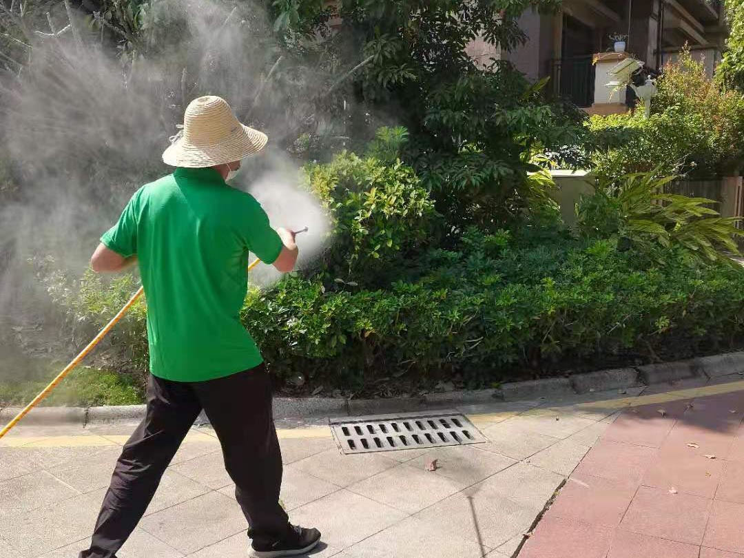 d88尊龙游戏大厅绿化公司开启夏日绿化“打药除虫”事情，做好一样平常养护步伐