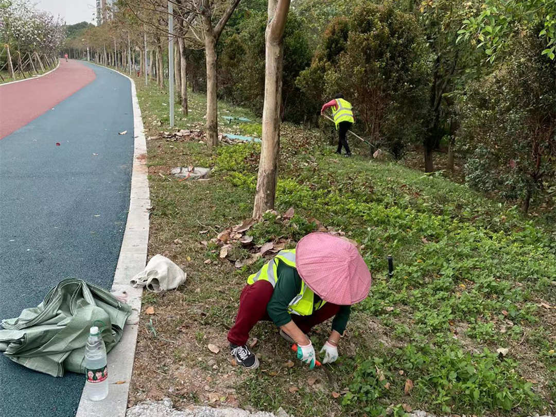 东平水道三山片区河河堤园林绿化养护
