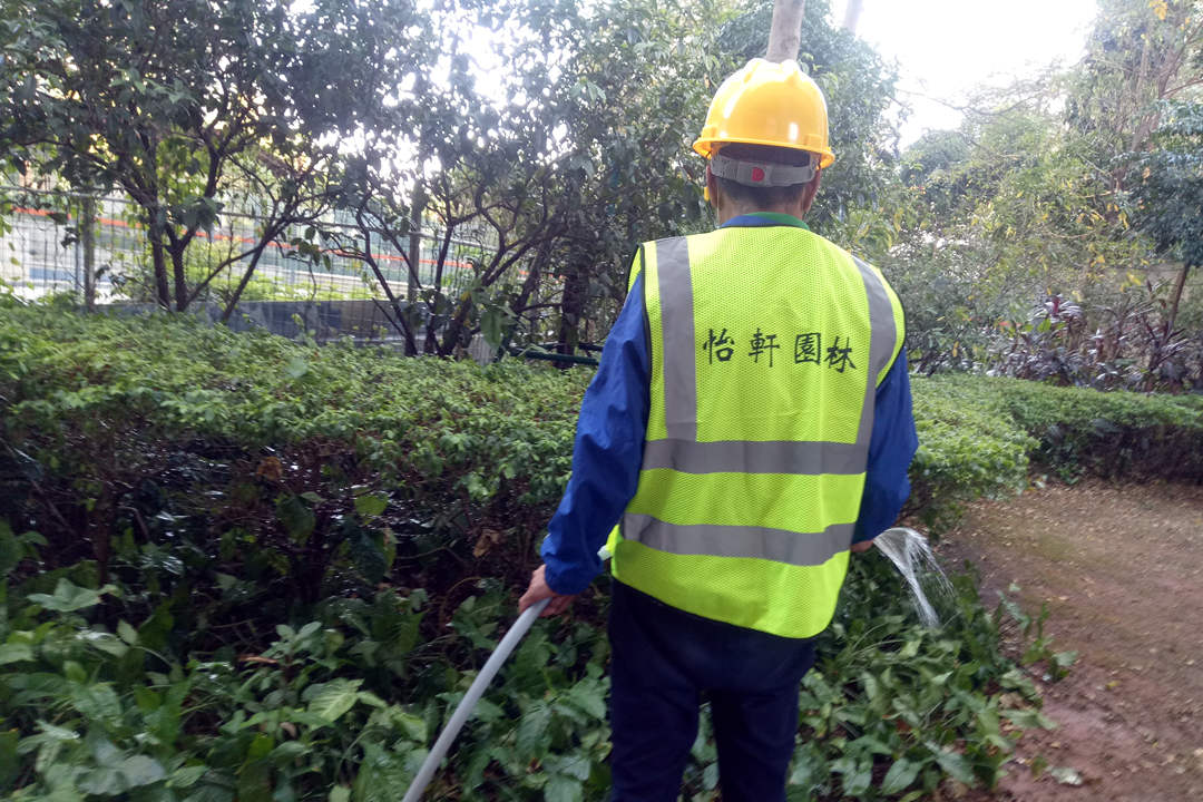 d88尊龙游戏大厅绿化公司的工人正在浇水
